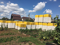 Газобетон КОТТЕДЖ D600 В3.5 625х150х250